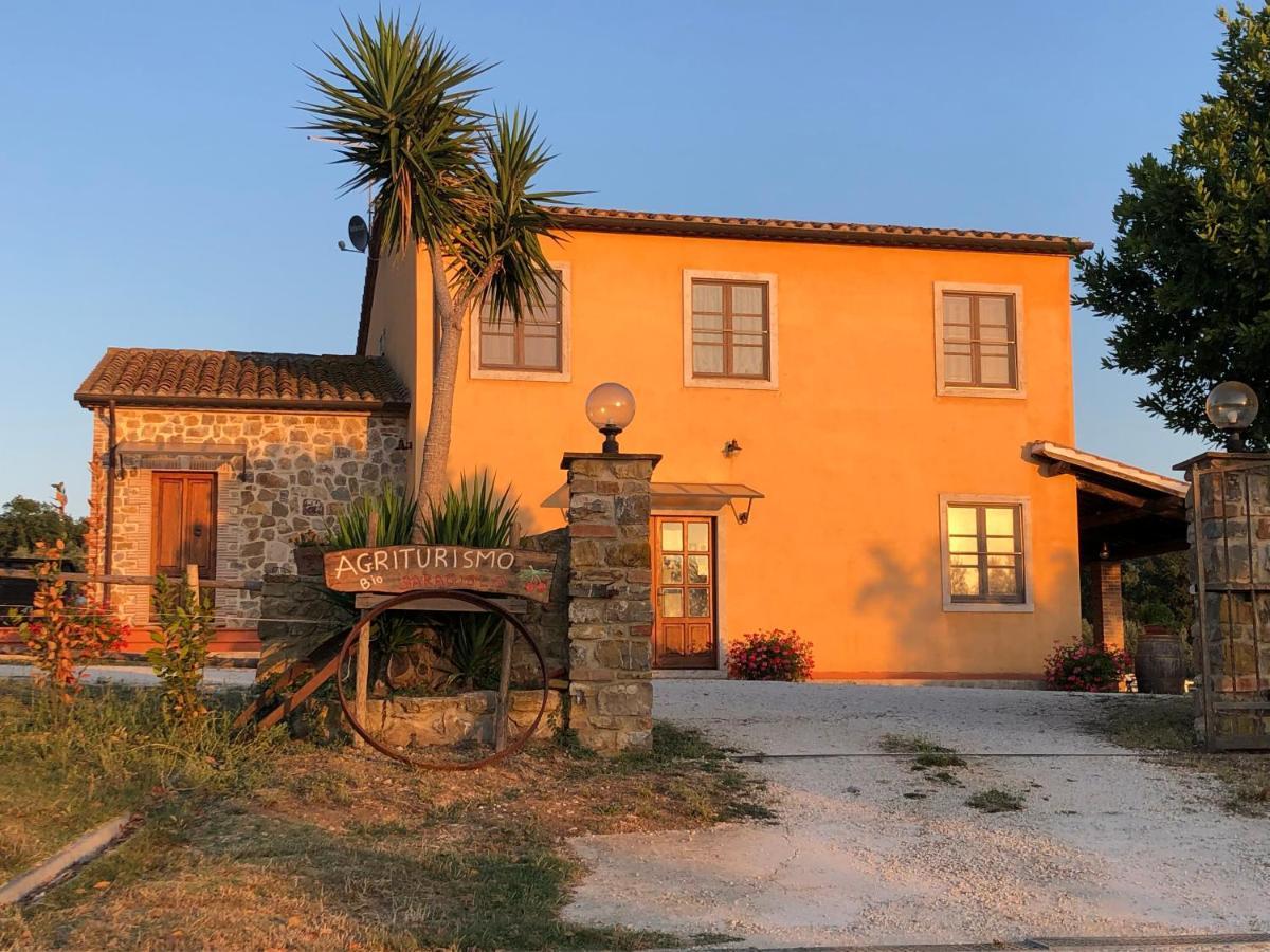 Agriturismo Il Saragiolo Villa Montemerano Eksteriør billede
